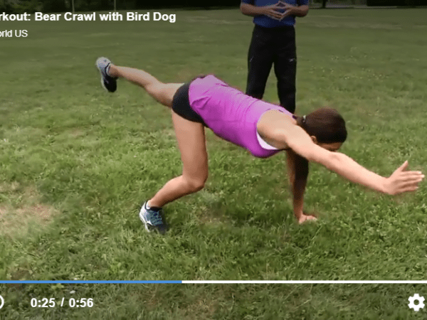 Bear Crawl with Bird&nbsp;Dog!